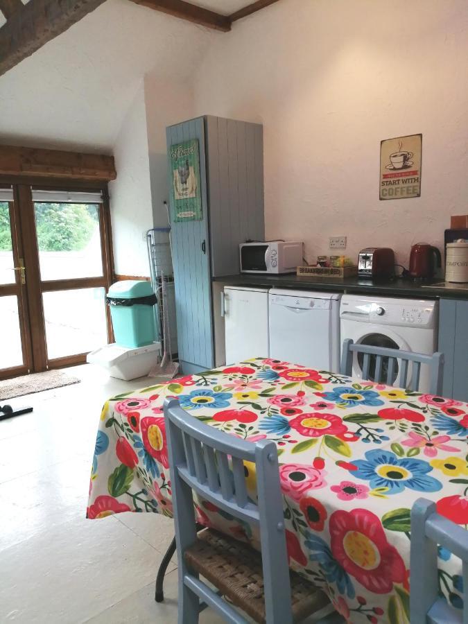 Killarney Saoirse Cottage エクステリア 写真