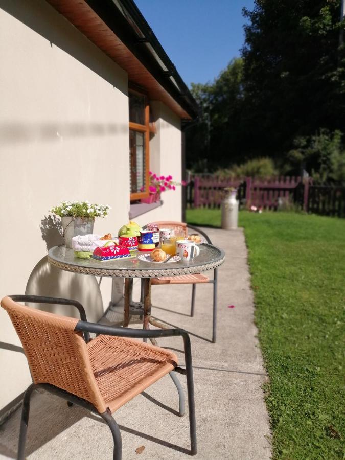 Killarney Saoirse Cottage エクステリア 写真