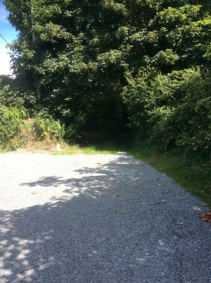 Killarney Saoirse Cottage エクステリア 写真