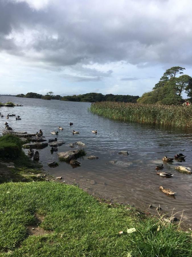 Killarney Saoirse Cottage エクステリア 写真