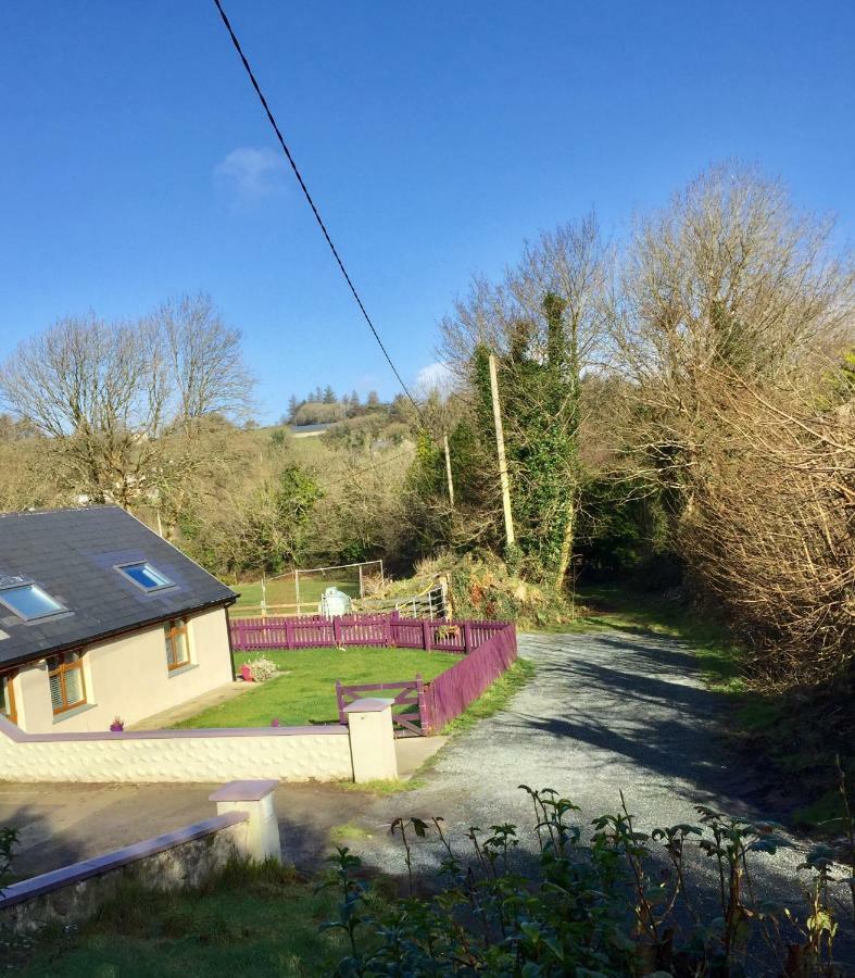 Killarney Saoirse Cottage エクステリア 写真